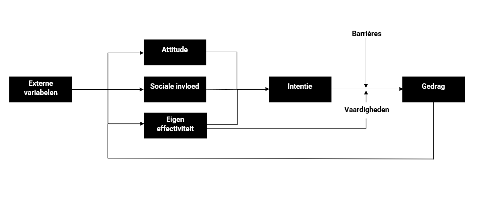 Theorie van Gepland Gedrag